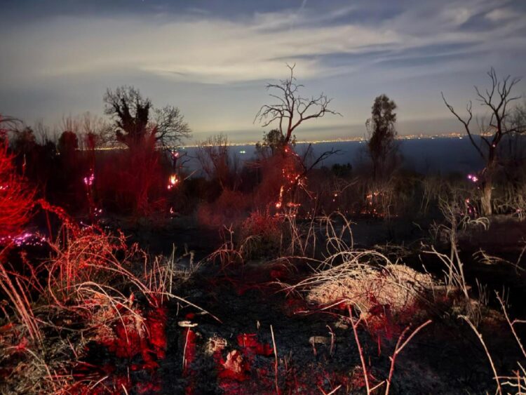 GÜNCELLEME – Yalova’da ormanlık alanda çıkan yangın kontrol altına alındı haberi