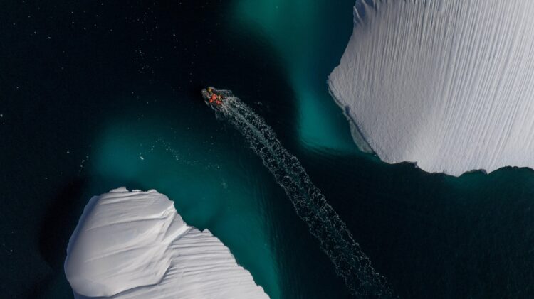 Kuş gribi ve insan kaynaklı kirleticiler Antarktika’nın geleceğini etkiliyor haberi