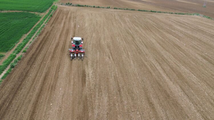 Tekirdağ’da ayçiçeği tohumları toprakla buluşmaya başladı haberi