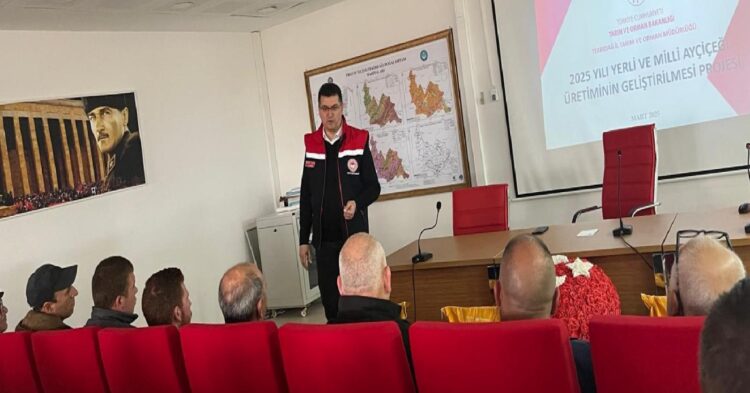 Tekirdağ’da çiftçilere ayçiçeği tohumu dağıtıldı haberi