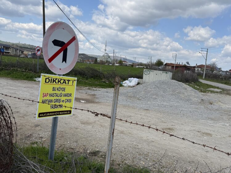 Çanakkale’de bir köyde daha şap karantinası uygulanmaya başlandı haberi