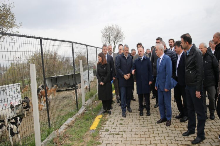 İçişleri Bakan Yardımcısı Turan, Edirne’de sahipsiz hayvanlar için yapılacak doğal yaşam alanını inceledi haberi