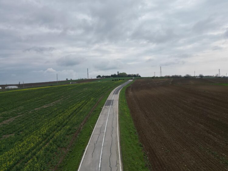 Tekirdağ’da kuraklık kanola üreticisine tarla bozdurttu haberi