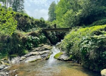 Rize’de Derenin Kırmızıya Dönmesi Bölge Halkını Endişelendirdi