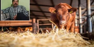 Konya’da Elektrik Akımına Kapılan Çiftçi Hayatını Kaybetti