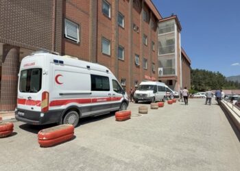 Sivas’ta Kene Isırması Sonucu 1,5 Yaşındaki Bebek Hayatını Kaybetti