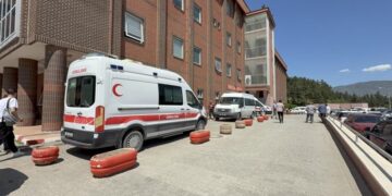 Sivas’ta Kene Isırması Sonucu 1,5 Yaşındaki Bebek Hayatını Kaybetti