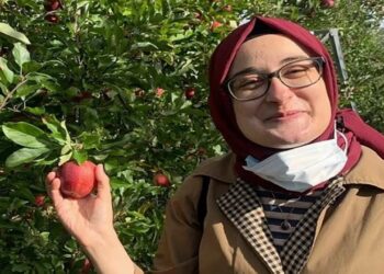 ABD Temyiz Mahkemesi, Rümeysa Öztürk’ün Vermont’a Nakil Kararını Onayladı
