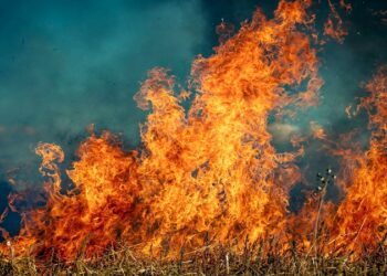 Türkiye Genelinde Son İki Günde 150 Yangın Çıktı