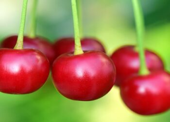 Eskişehir’de Kiraz Tane İle Satılıyor! Cenk Sungur Fiyatlara İsyan Etti