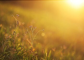 Meteoroloji Açıkladı: Havalar Yeniden Isınacak
