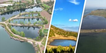 Türkiye’de Beş Yeni Sulak Alan Koruma Altına Alındı