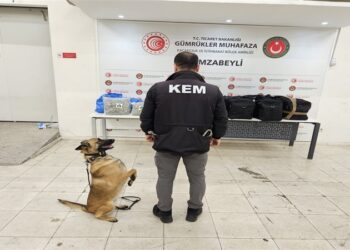 Türkiye-İspanya İşbirliği ile Sınır Aşan Uyuşturucu Operasyonu Gerçekleşti