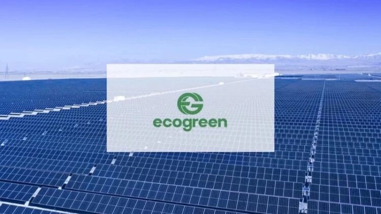 Ecogreen Enerji Halka Arzı 3 Kasım’da İşlem Görmeye Başlayacak