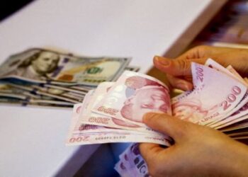 Merkez Bankası, Dövizden TL’ye Dönüşüm Desteğini 6 Ay Uzattı