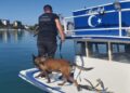 Ordu’da Sahil Güvenlik Ekipleri Dedektör Köpeklerle Operasyon Gerçekleştirdi