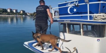 Ordu’da Sahil Güvenlik Ekipleri Dedektör Köpeklerle Operasyon Gerçekleştirdi