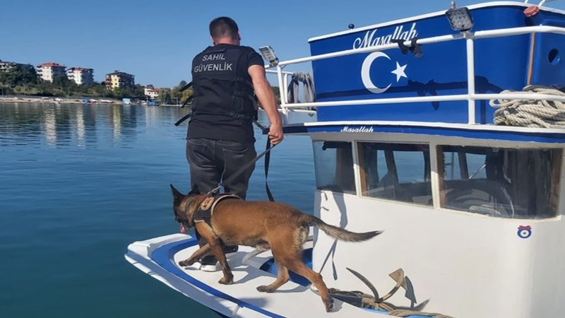 Ordu’da Sahil Güvenlik Ekipleri Dedektör Köpeklerle Operasyon Gerçekleştirdi