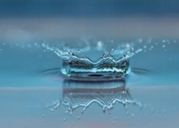 Türkiye, 5. İstanbul Uluslararası Su Forumu’na Ev Sahipliği Yapacak