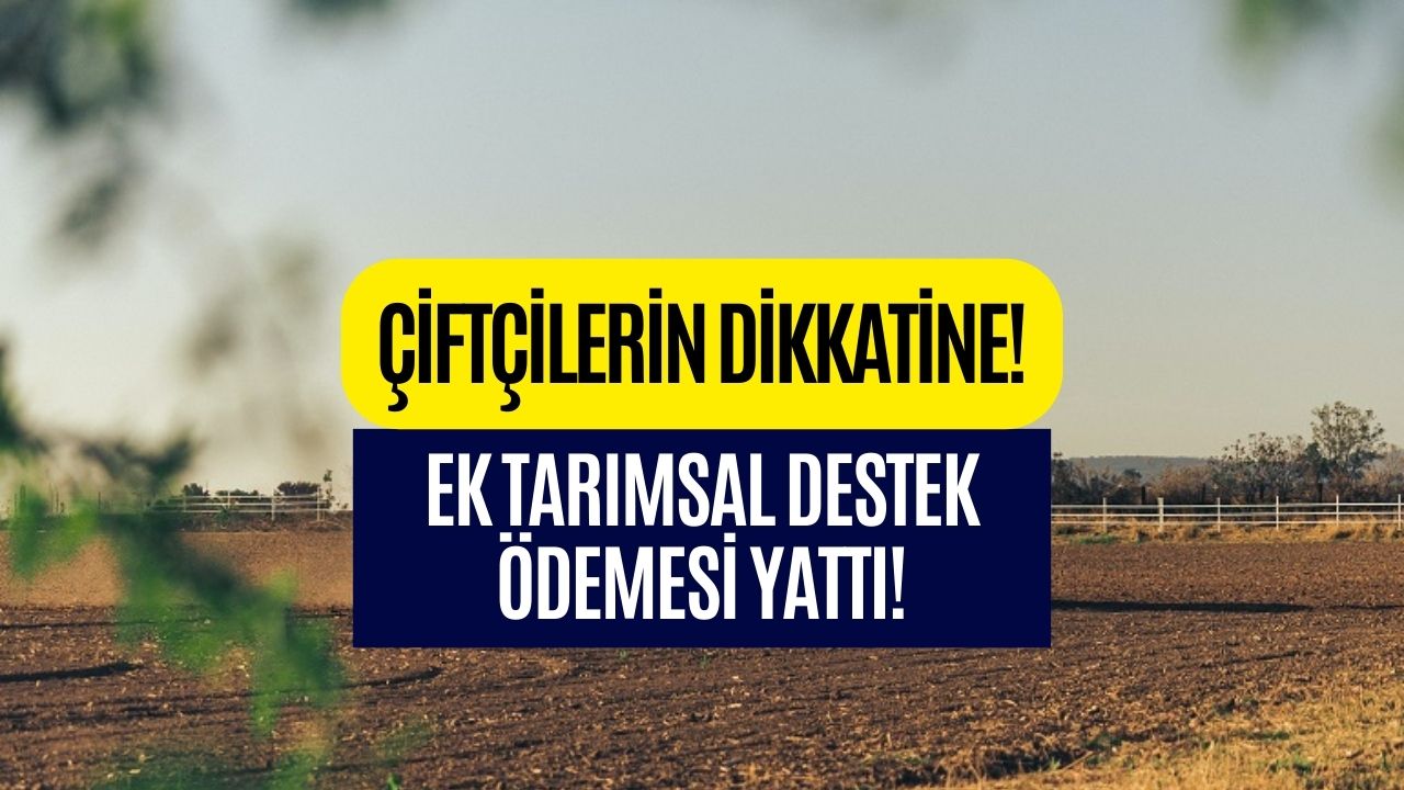 130 Çiftçiye 15 Milyon TL Pay Edilecek! O İlde Yaşayan Çiftçilere Ek Tarımsal Destek Ödemesi!