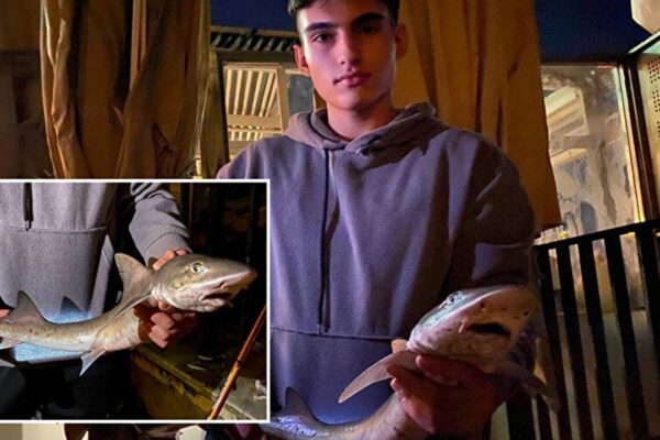 19 yaşındaki Mert Kurt Çengelköy Sahilinde Yavru Köpek Balığı Yakaladı