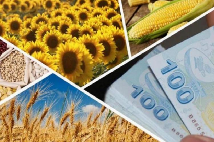 238 milyon tllik ziraî dayanak hesaplarda