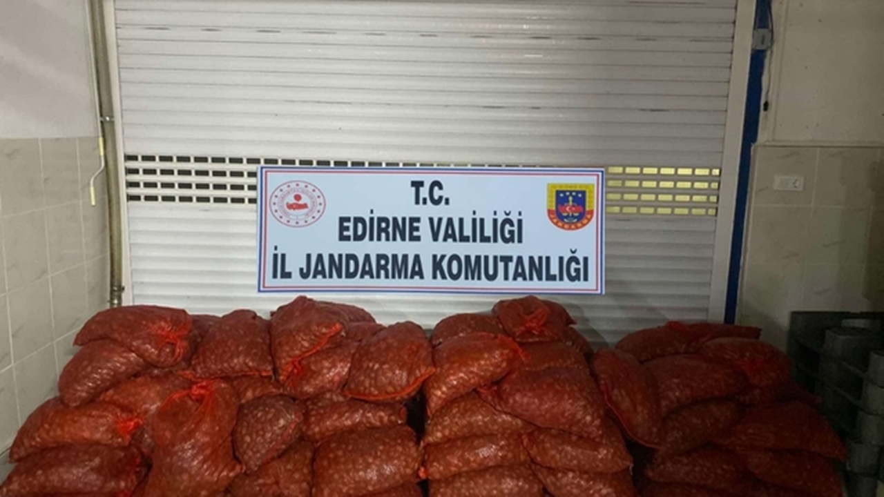 600 kilogram yasaklı kum midyesi ele geçirildi