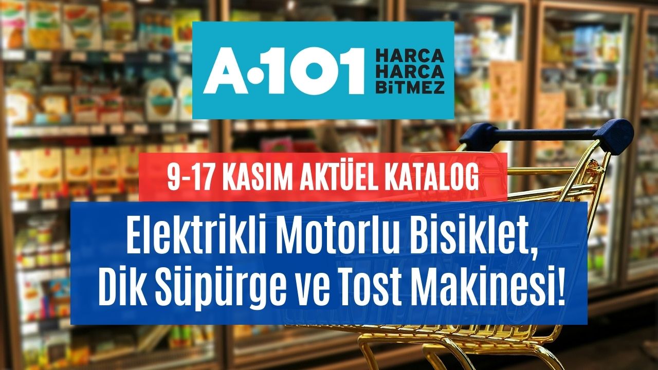 9-17 kasım a101 aktüel kataloğu koltuk takımı waffle makinesi elektrikli motor İndirimi