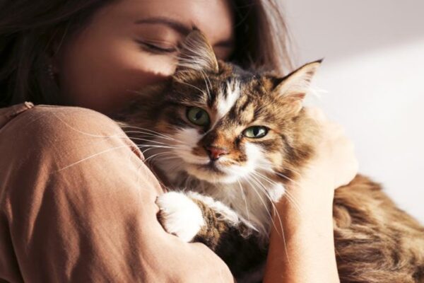 ABD’de Bir Doktor Hastasına Kedi Reçete Etti