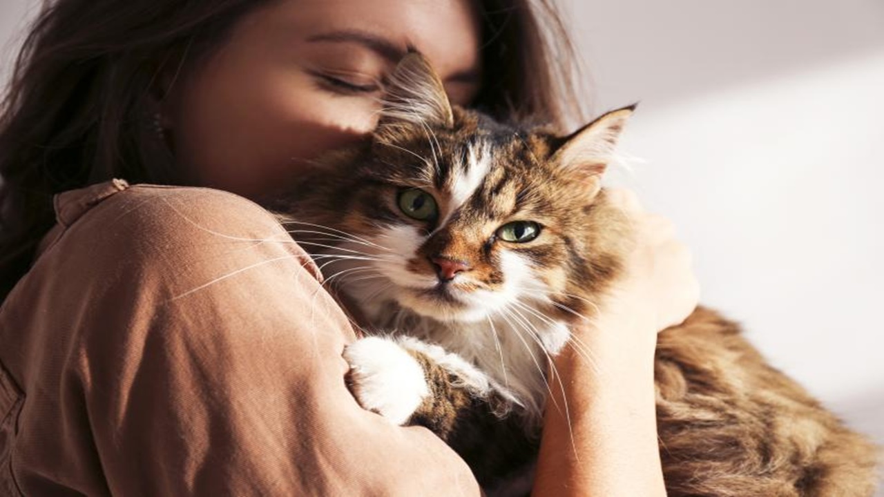abdde bir doktor hastasına kedi reçete etti