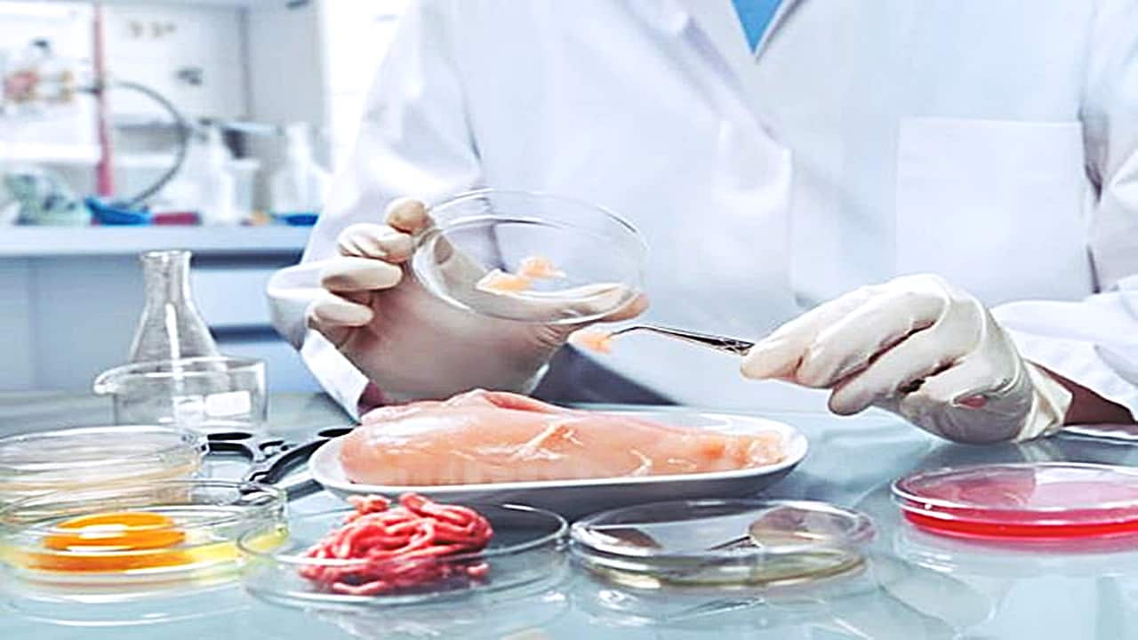 ABDde Laboratuvarda Üretilen Tavuk Eti İlk Kez Satışa Sunuluyor