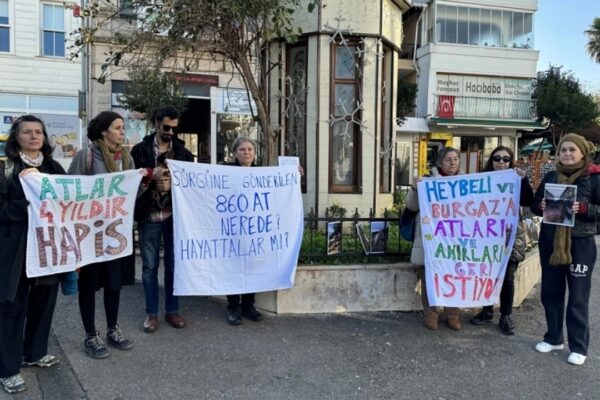 Adaların Atları Sağlıklı Koşullarda Yaşamalı