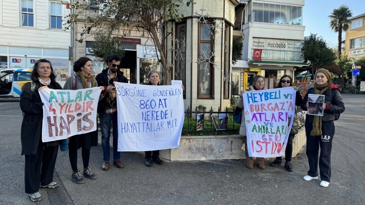 adaların atları sağlıklı koşullarda yaşamalı