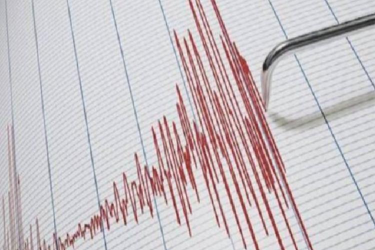 adanada 55lik deprem