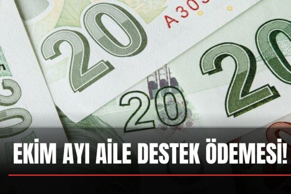 Aile Destek Ödemesi Alanlara Ekim Ayında 875 Lira Ek Ödeme! e-Devlet’ten TC Kimlik No ile Kontrol Edin