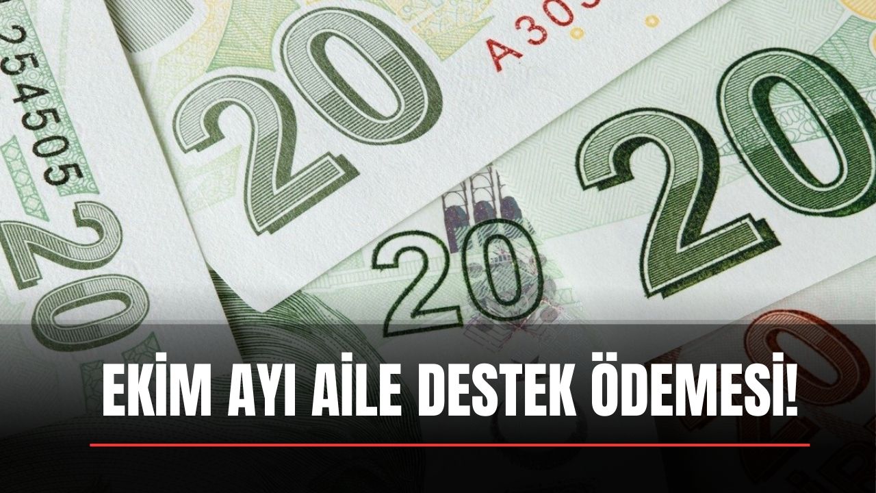 aile destek Ödemesi alanlara ekim ayında 875 lira ek Ödeme e-devletten tc kimlik no ile kontrol edin