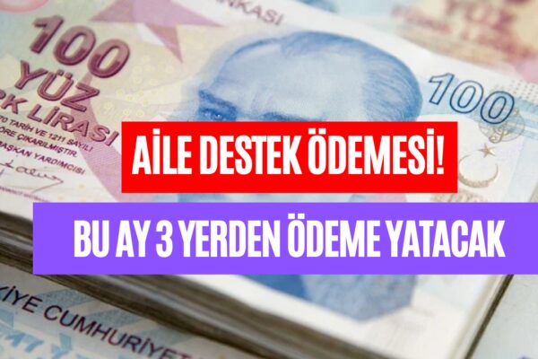 Aile Destek Ödemesi’ne İki Sosyal Yardım Parası Eklendi! Ekim Ayında Üç Farklı Yerden Para Yatacak!