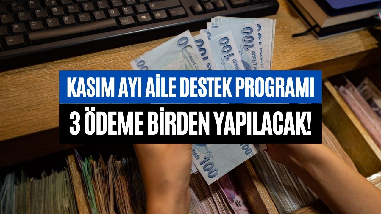 aile destek programı kasım 2023 kasım ayı destek parası Ödeme takvimi