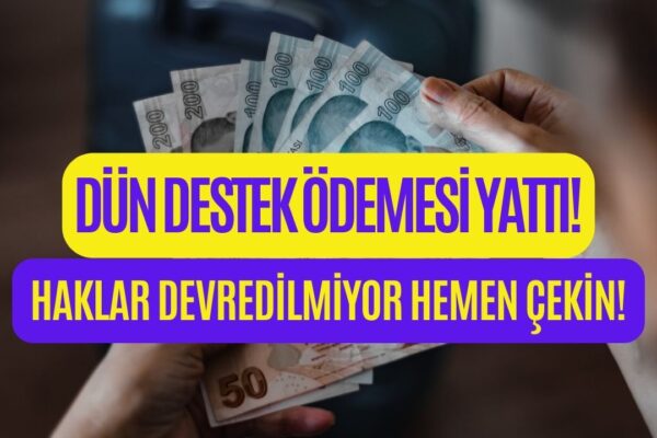 Almayan Kalmasın! Bakanlık Dün Destek Ödemesi Yatırdı Bu Yöntemle Hemen Çekin