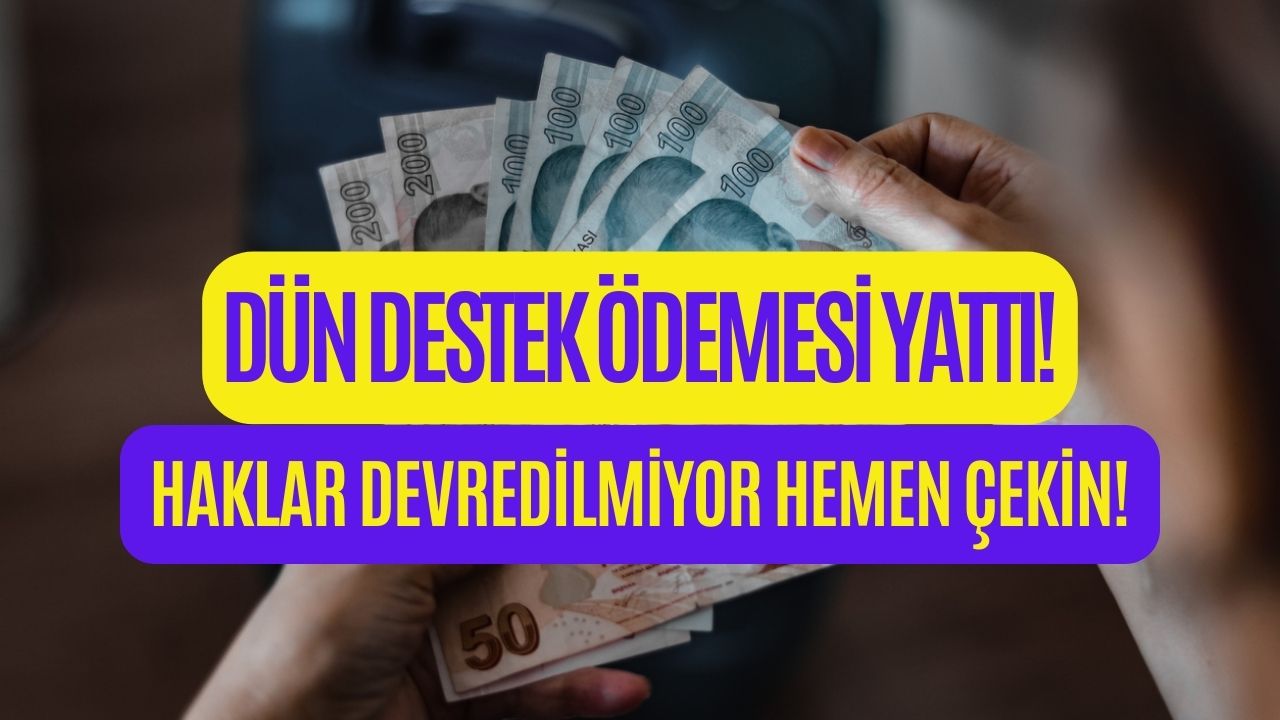 almayan kalmasın bakanlık dün destek Ödemesi yatırdı bu yöntemle hemen Çekin