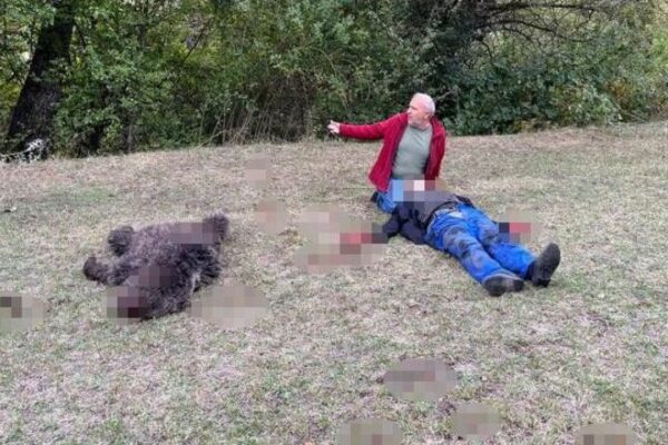 Artvin’de Ayının Ölüm Pençesi