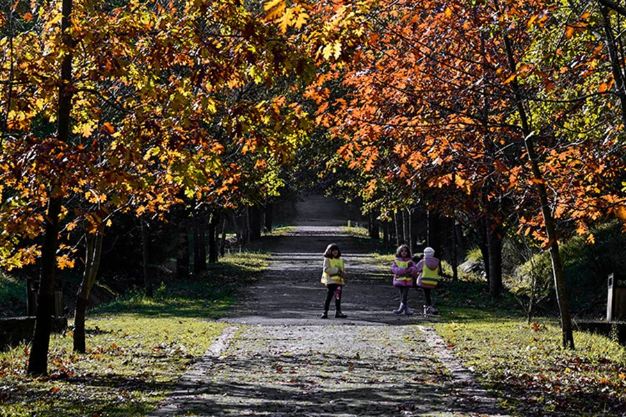 ataturk-arboretumunda-sonbahar-renkleri-3.jpg