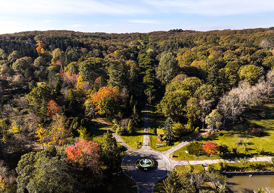 ataturk-arboretumunda-sonbahar-renkleri-2.jpg