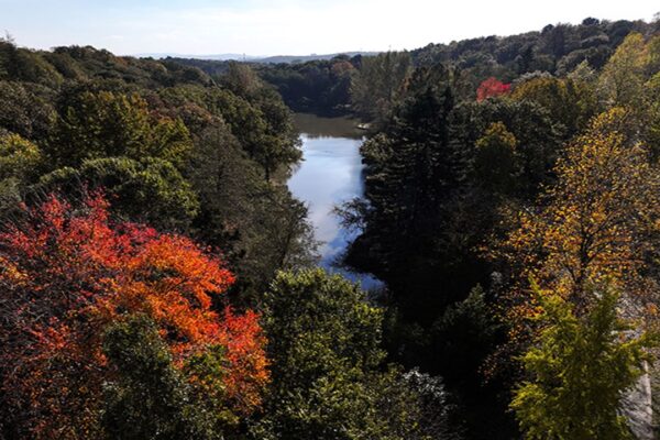 Atatürk Arboretumu’nda Sonbaharın Büyüleyici Renkleri