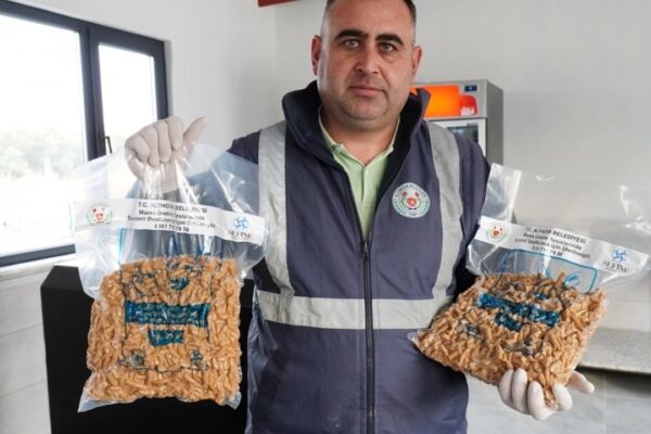 Atık Yemekler Kedi ve Köpeklere Mama Oldu