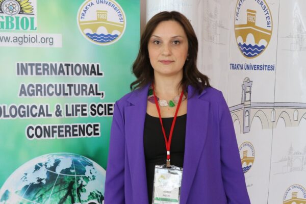 Ayçiçeği Sapları Gıda Ambalajında Kullanılacak