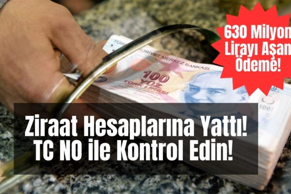 Bakanlık Cuma Akşamı Herkesin Adına Destek Parası Yatırdı! TC No ile e-Devlet’ten Kontrol Edin!