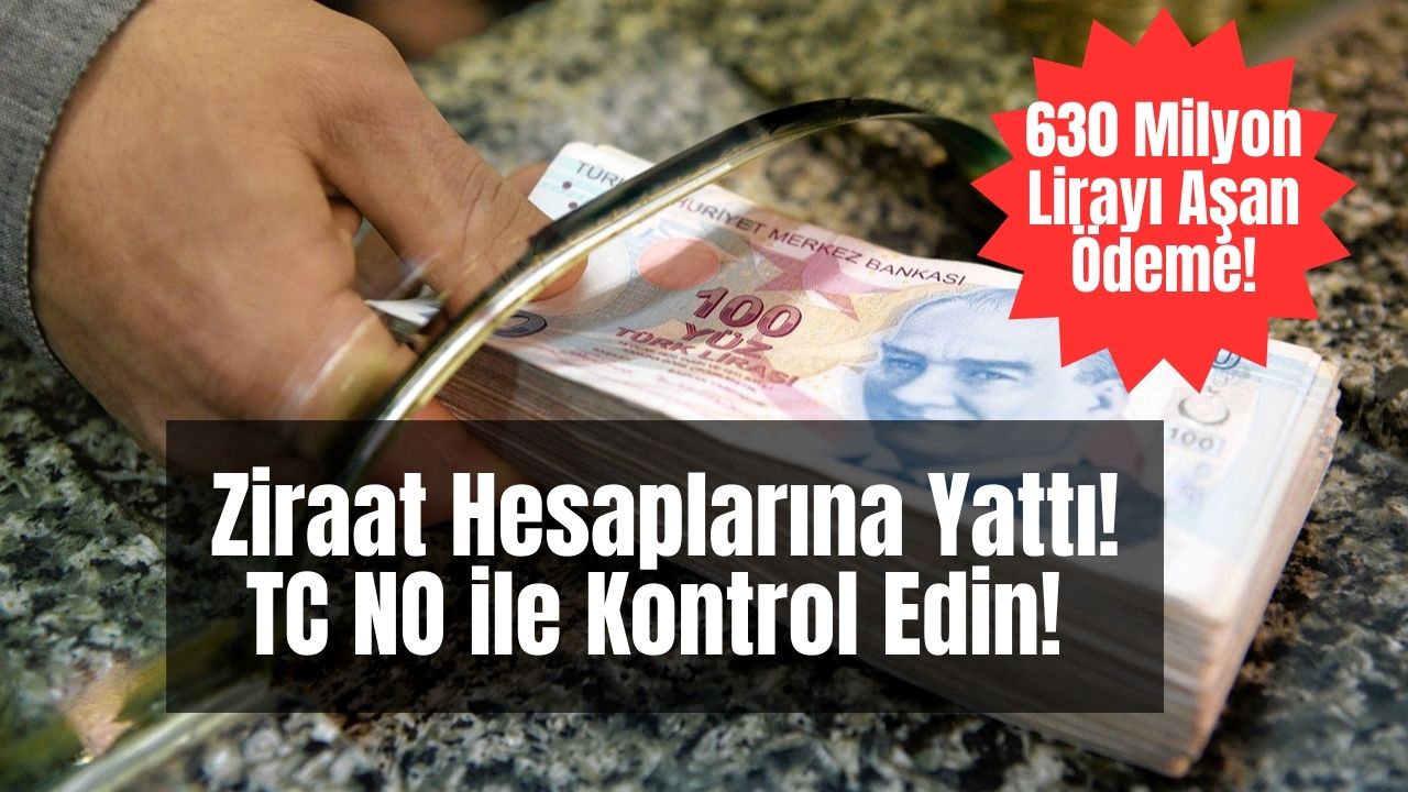 bakanlık cuma akşamı herkesin adına destek parası yatırdı tc no ile e-devletten kontrol edin