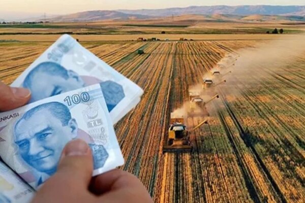 Bakanlık Duyurdu: Tarımsal Destek Ödemesi Bugün Hesaplara Yatıyor