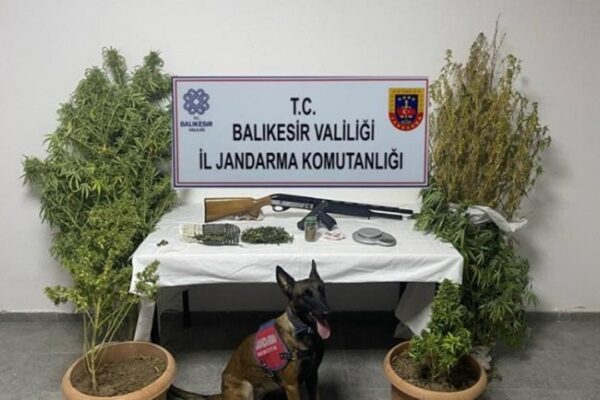 Balıkesir Ayvalık’ta Uyuşturucu Operasyonu: 7 Zanlı Tutuklandı